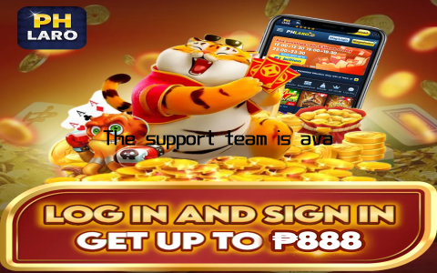 The support team is available 24/7 via live chat, email, and phone, ready to assist with any questions or concerns